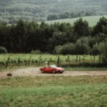 wesele w Toskańskim stylu pod Krakowem, otoczenie sali weselnej Winnica Jura