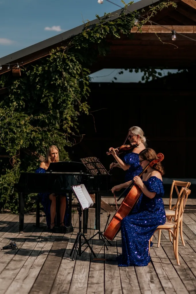 muzyka na ślub plenerowy, tercet muzyczny na ślub, muzyka na ceremonia humanistyczną