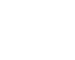 wedding planner Warszawa, logo firmy wedit.pl
